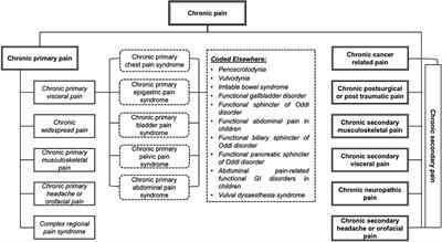 Psychopathological and neuropsychological disorders associated with chronic primary visceral pain: Systematic review